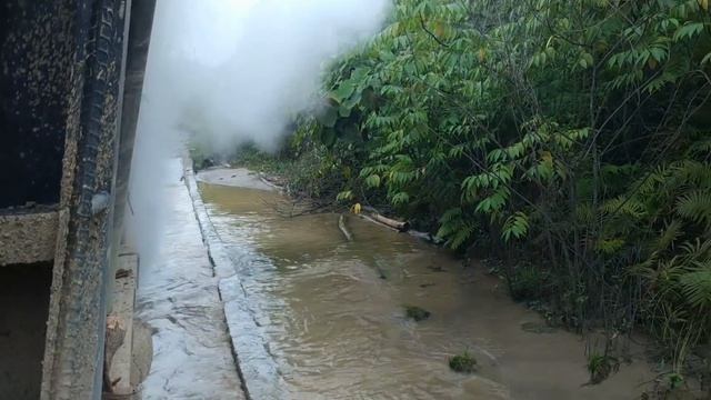 Muatan 40 Ton diteror Mendung⁉️ Truk Logging Kalimantan #COMUNMF