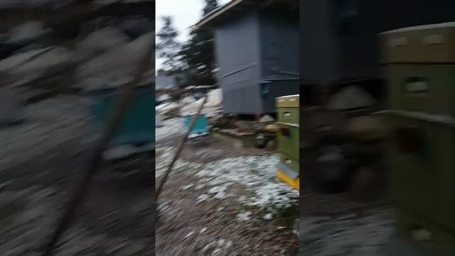Пчела.   18 ноября 2023г.           - 6°  утро - обход