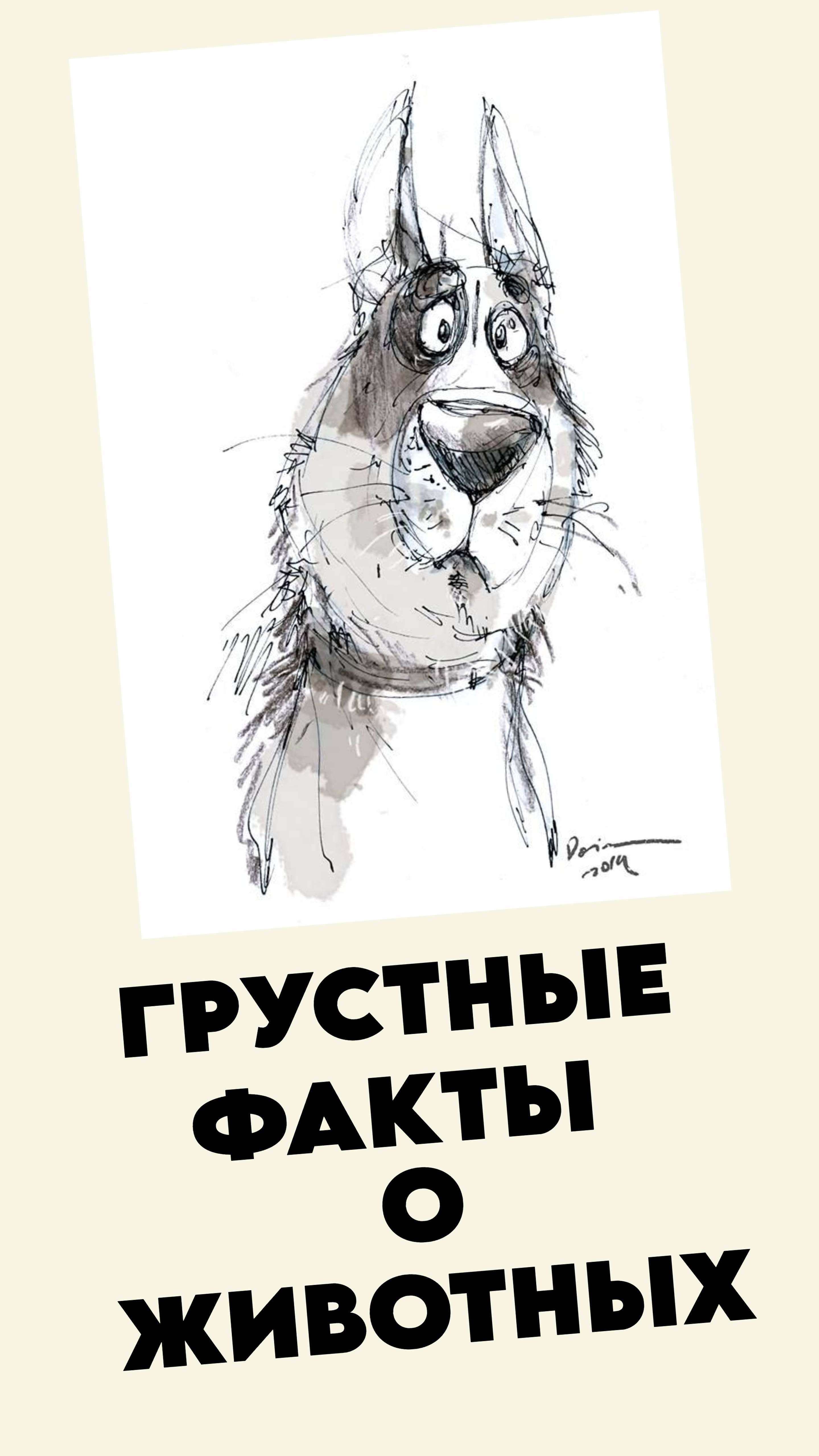 Грустные факты о животных 5