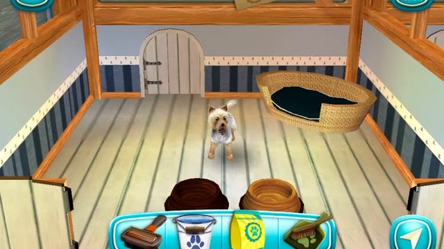 Обзор игры Dog Hotel.
