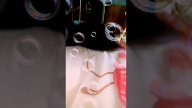 PPY и другие кто пошли проверять, извините, видоса нет того по-скоку он не сохранился