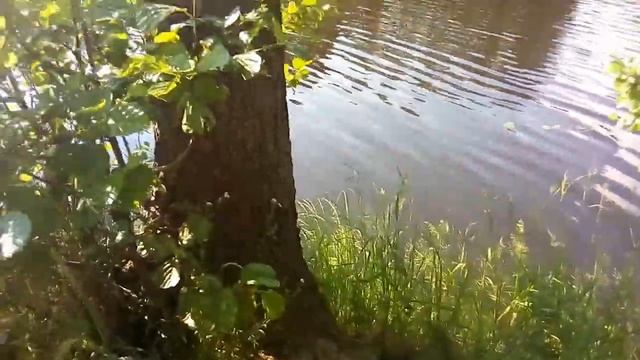 Сделал вебстер с высоты в воду