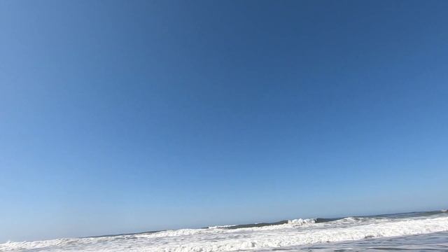 California Surf Perch Fishing During Incoming High Tide (Fishing Tips&Rigs)