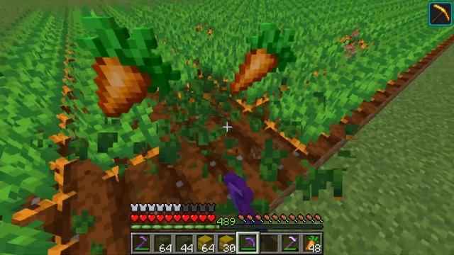 The Best Hoe Enchantments For Minecraft 1.16 - Tutorial