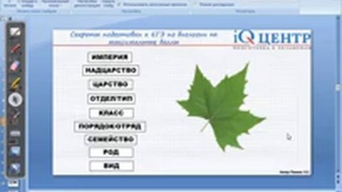 Царство Бактерии (ОГЭ)