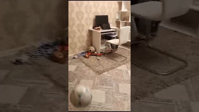 играем в футбол⚽