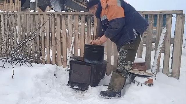 Очередной опоросдвух породный гибрид на выходе