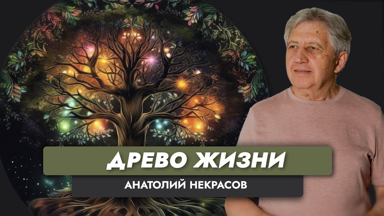 "Древо Жизни"| Интересный случай | Анатолий Некрасов писатель, психолог