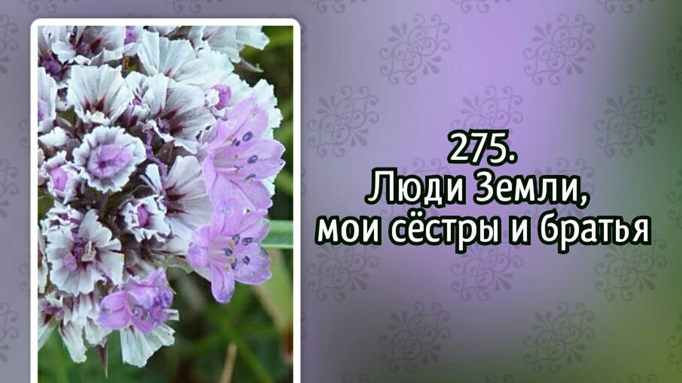 Гимны надежды 275 Люди Земли, мои сёстры и братья (-)