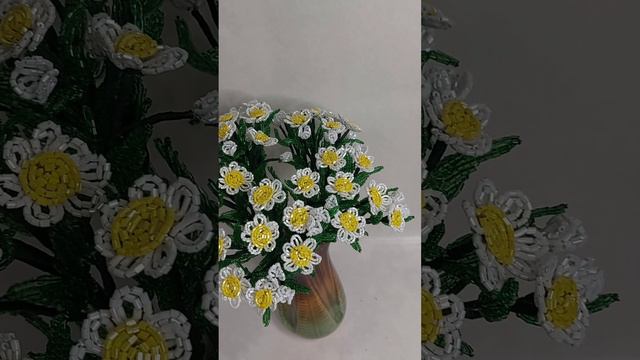 1000022615.mp4
