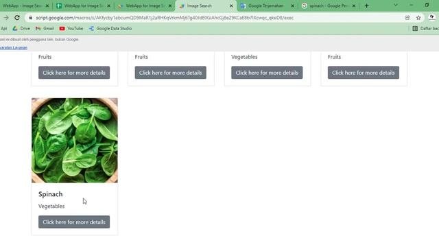 Apps Script - WebApp For Image Search  Image Detail Use Popup Modal  Adjustable From Google Sheet