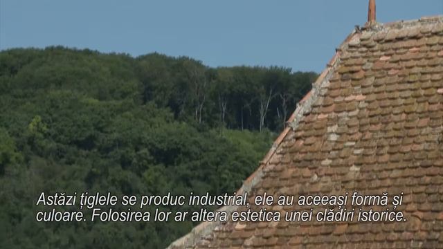 Alma Vii, Transylvania - Historic Roofs