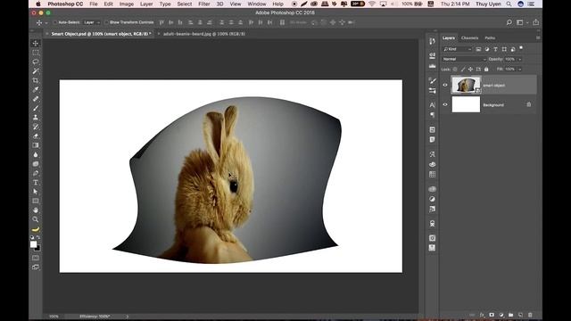 Bài 49: Smart Object | Làm Chủ Photoshop CC 2018