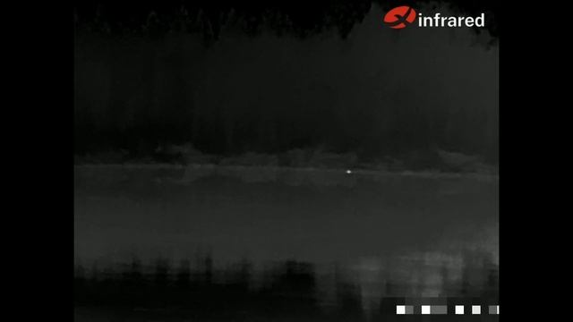 Охота на Бобра, снятая на тепловизор Xinfrared XH09 [ X2 ]