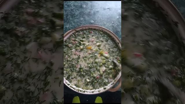VID-20230416-WA0130.mp4