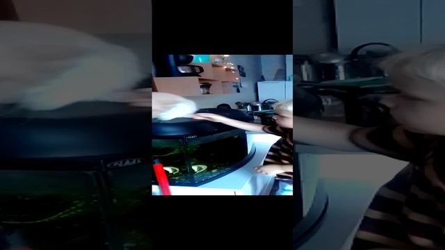 VID_20230827_104528.mp4