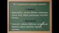 нервная система
