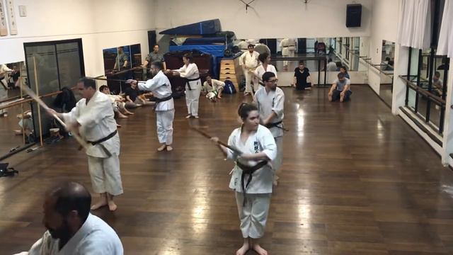 Choun no kun - Ryukyu Kobudo Ryukonkai- Nintai Dojo