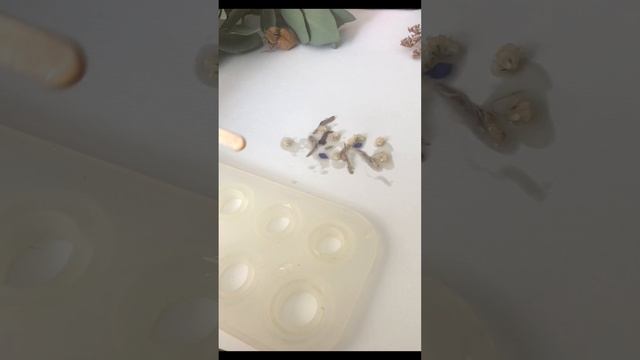 заливка в формочки