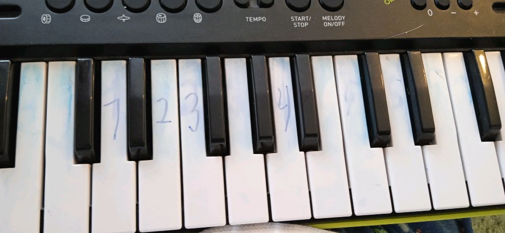 как научиться играть любую песню на пианино????