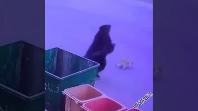 мусор выкинула