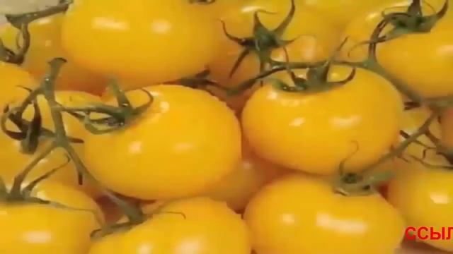 Подвесная грядка для клубники овощей и цветов