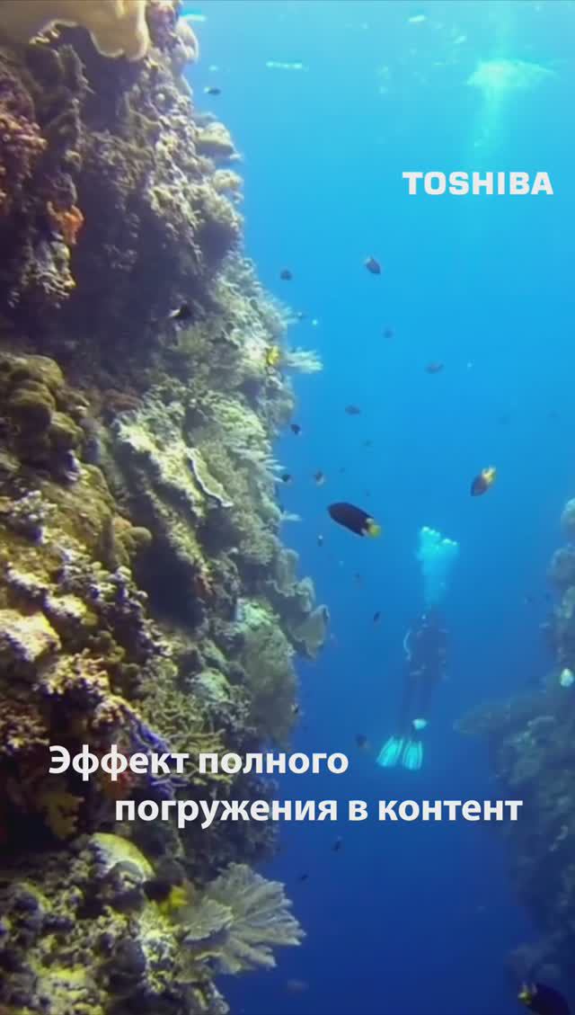 Эффект полного погружения вместе с TV Toshiba🐠