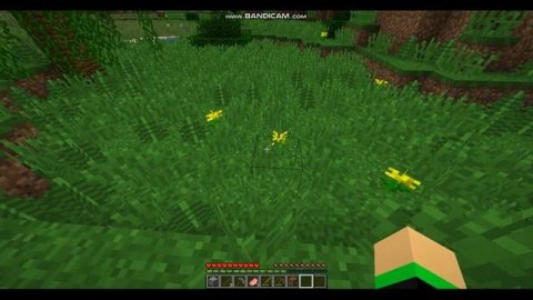 Лецплей путешествие по миру майнкрафта часть 1