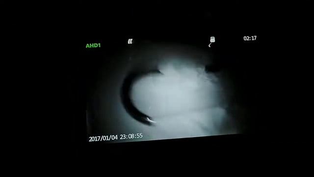 видеообзор 7 дюймов 170722
