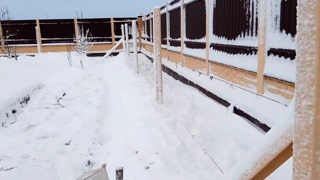 100% Утеплення винограду, самшиту та дерев