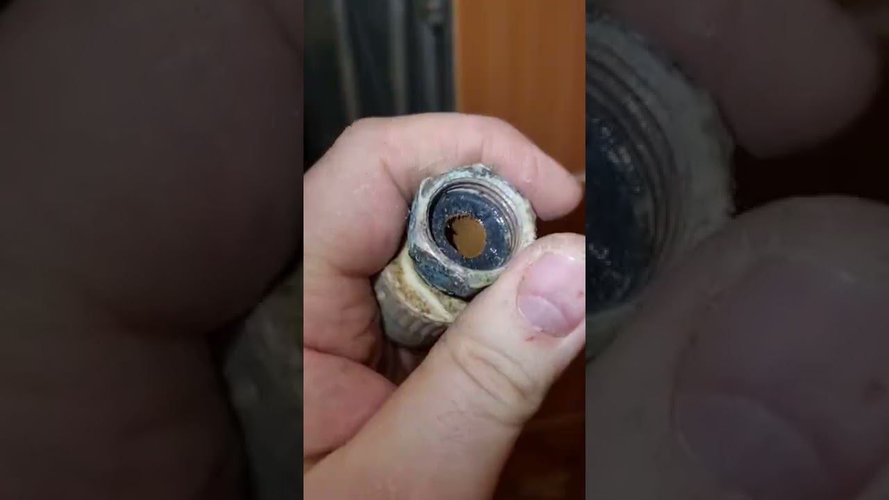 Гребёнки на гребёнки #shorts