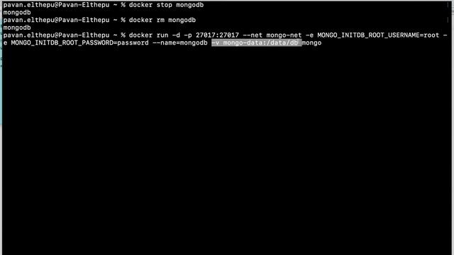 Docker Volumes