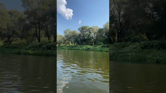Вид с Оки на коттеджный посёлок Горки-1.