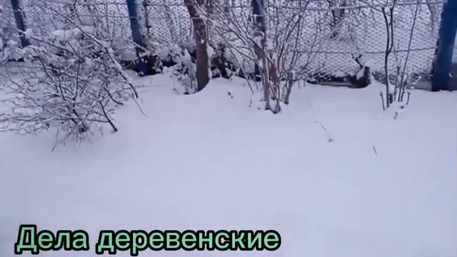 Малыш, Соня и ещё Рекс, чтобы его увидеть, нужно досмотреть видео ☺