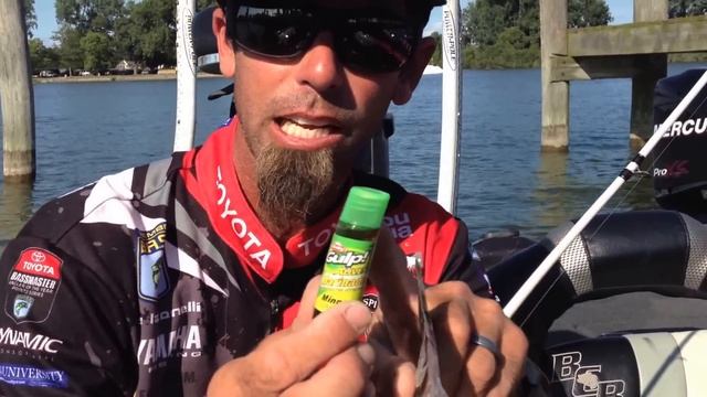 Gulp! Alive! Marinade: The Best Bait Scent Additive to Catch more Fish
