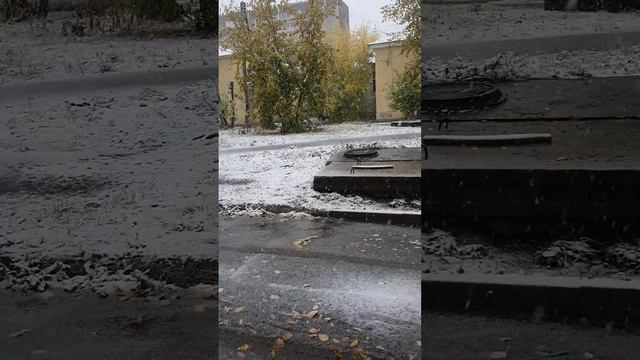 Екатеринбург 26.09.2022 первый снег