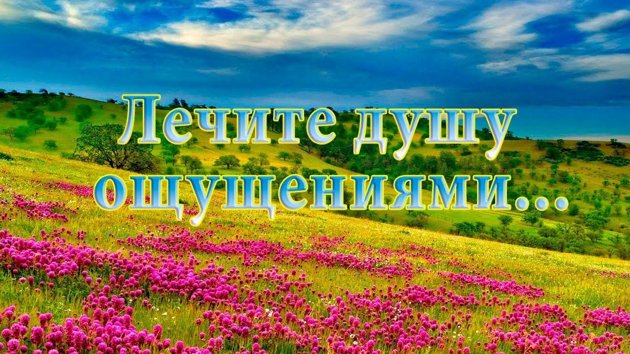 Лечите душу ощущениями...    Мой сад  ...   Музыка Павла Ружицкого