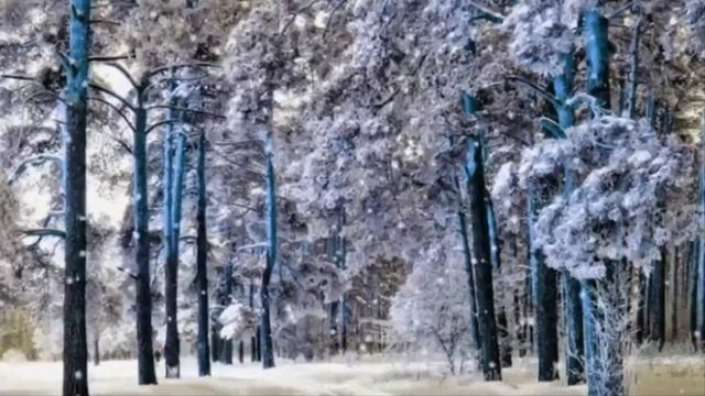 АНАТОЛИЙ КУЛАГИН  -  А Жаль ...монтаж - Edvart