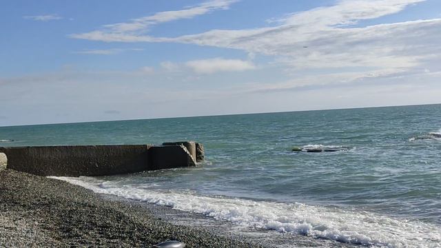 Краснодарский край Адлер, что случилось непонятно выкинула дельфина на пляж.05.04.2024