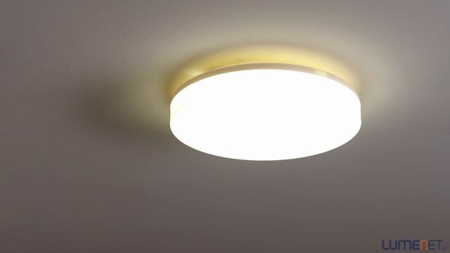Ceiling LED lamp for outdoor use, cold white, 10W (Gamma)