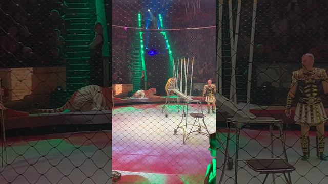 Полное видео на канале VLOG:09-03-24-17-00🙏3часть-Цирк-умерла Морозова Влада-артистка Больш.Цирка🙏