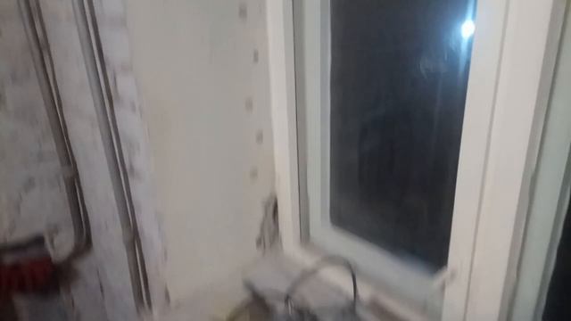 Ужас! Черная плесень на стенах в комнате. Что делать?