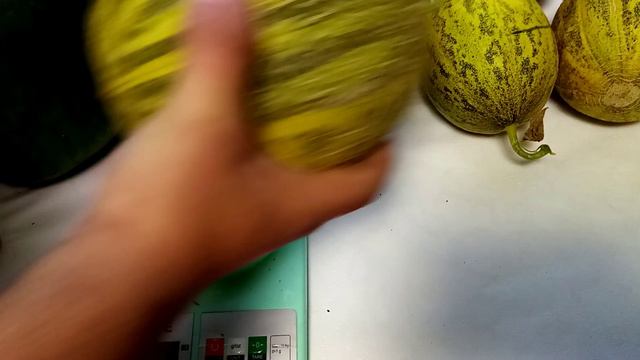 Урожай / арбузы / тыквы / кукуруза