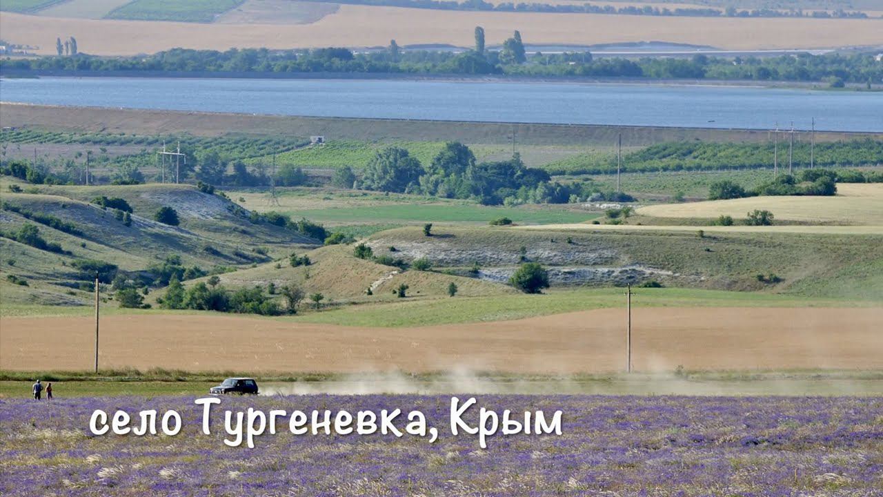 Село Тургеневка, Крым, жаркий ветер и лаванда...