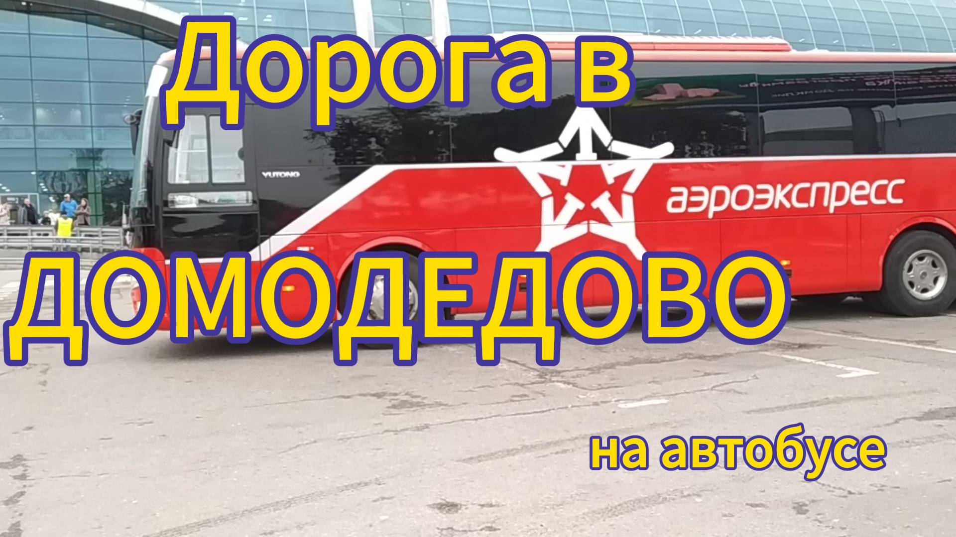 Экспресс-автобус Домодедово. Бысто и удобно.