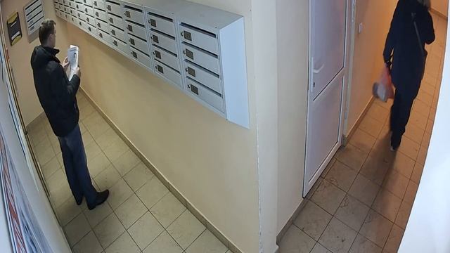 "коллектор"