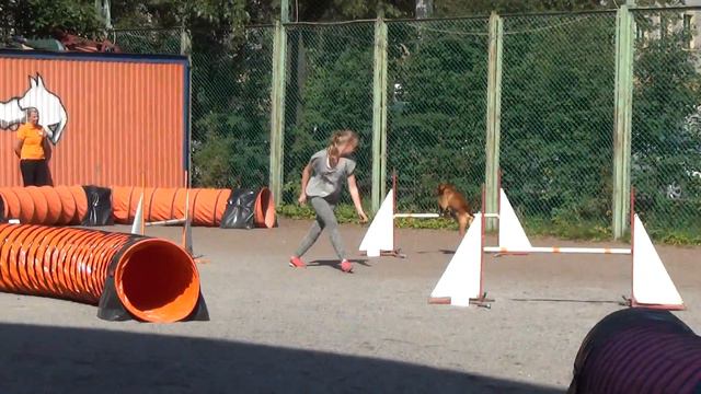 D0 Large-2. Голубь Алиса и выжла Паня