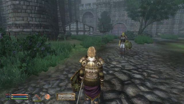 Let's Play - The Elder Scrolls IV Oblivion [HD] - Deutsch (Part 55)