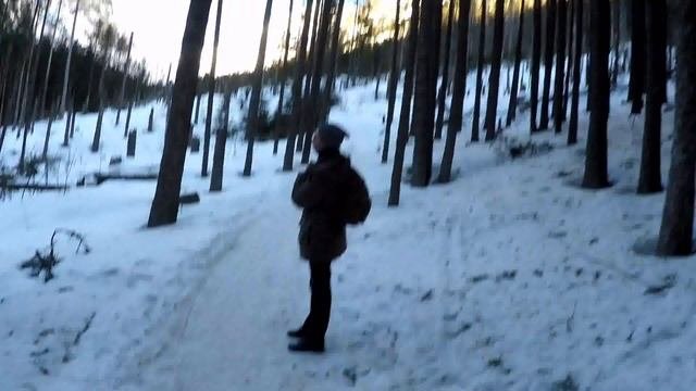 Альпийские горы в Польше Zakopane