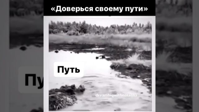 Доверяй, но проверяй???

#shorts #доверие #карма #путь